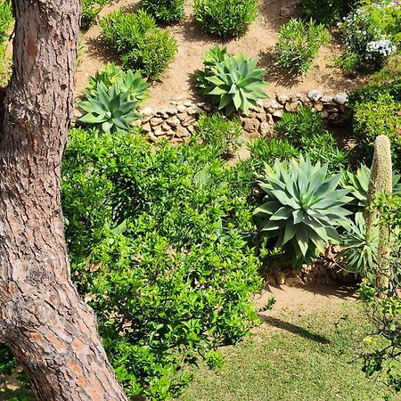 Elena Flat A Little Paradise Right On The Beach Sitio de Calahonda 外观 照片