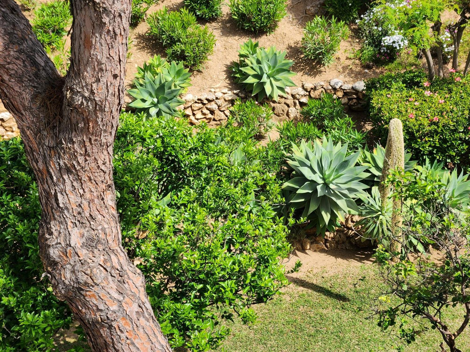 Elena Flat A Little Paradise Right On The Beach Sitio de Calahonda 外观 照片