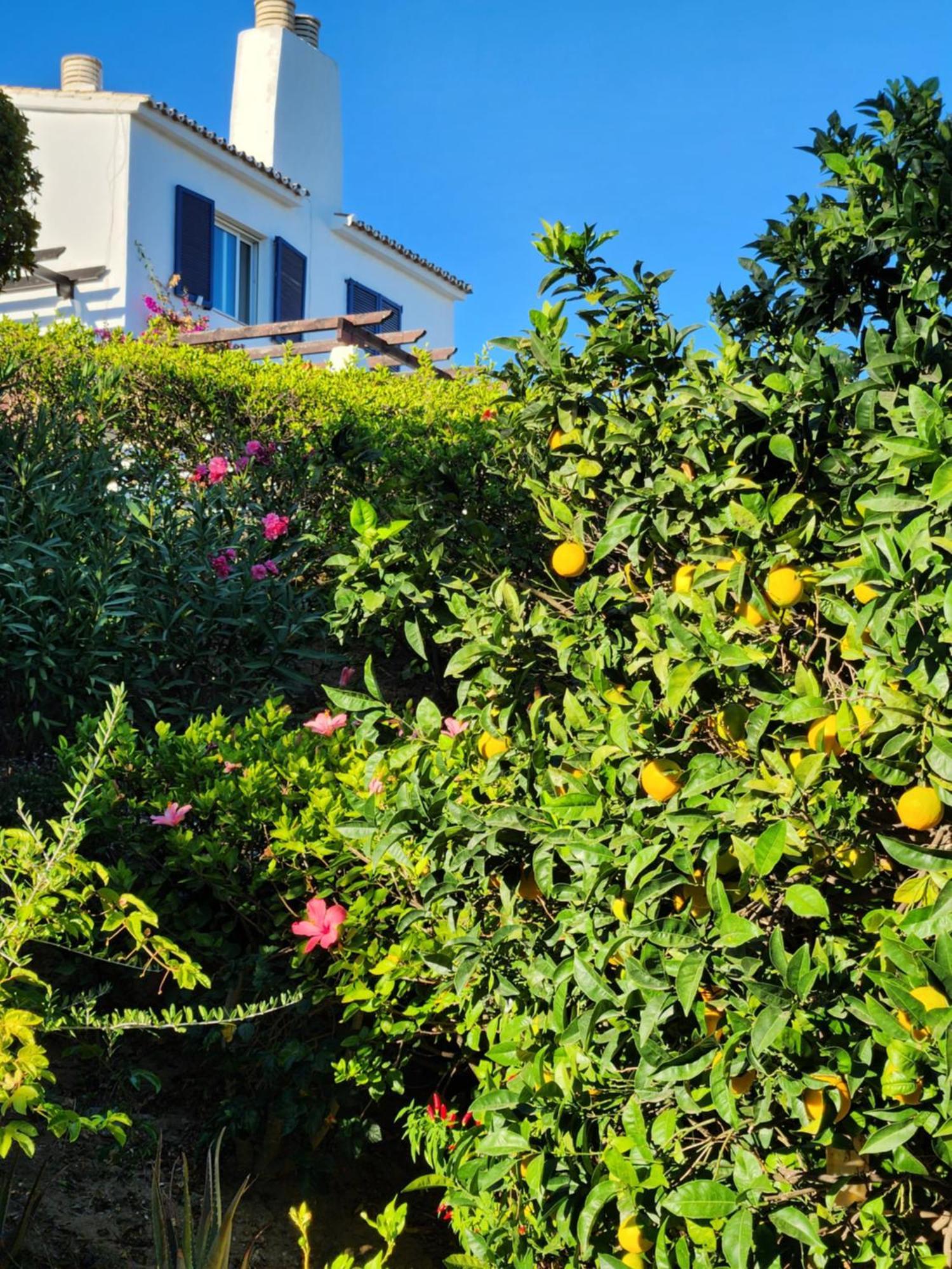 Elena Flat A Little Paradise Right On The Beach Sitio de Calahonda 外观 照片